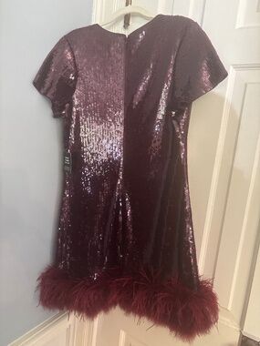 Express burgundy sequin dress
